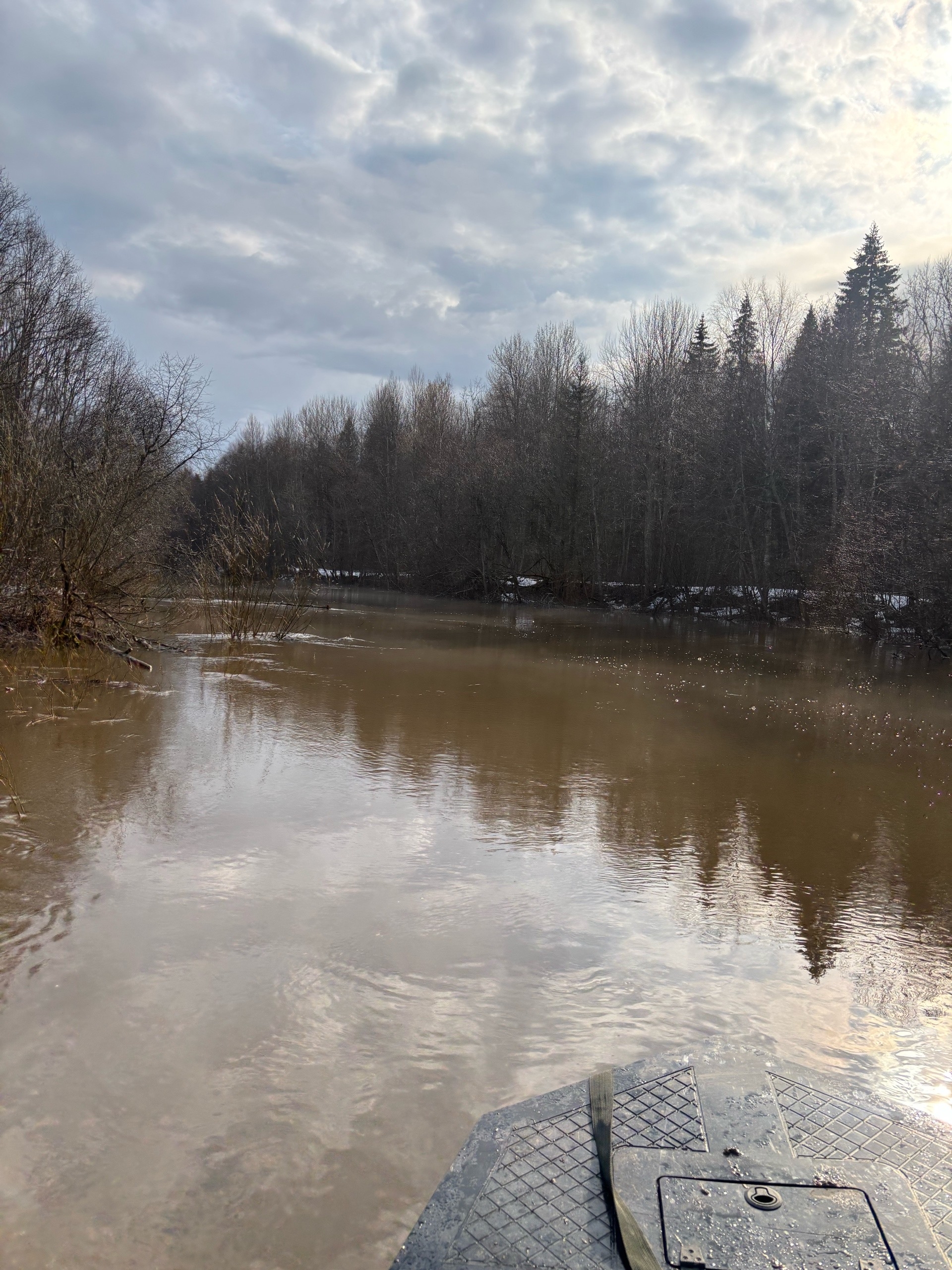 Вид с носа лодки на реку Комела в половодье